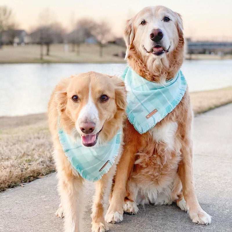 THE PACIFIC - Dog Flannel Fray Bandana