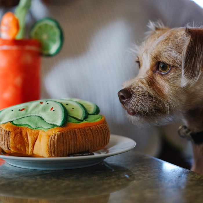 Avocado Toast Dog Toy - Mini