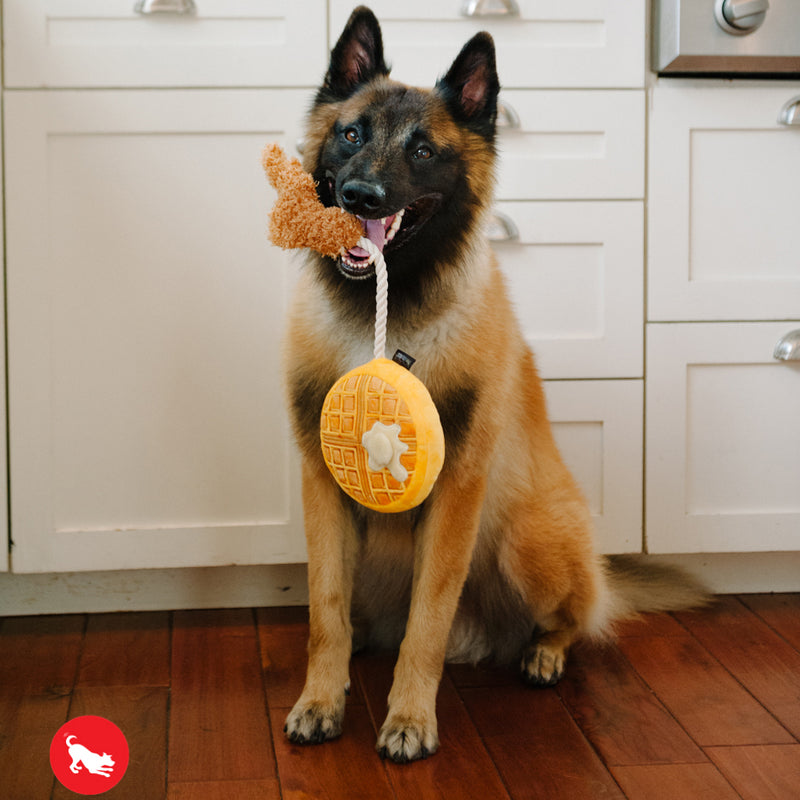 Chicken and Waffles Dog Toy
