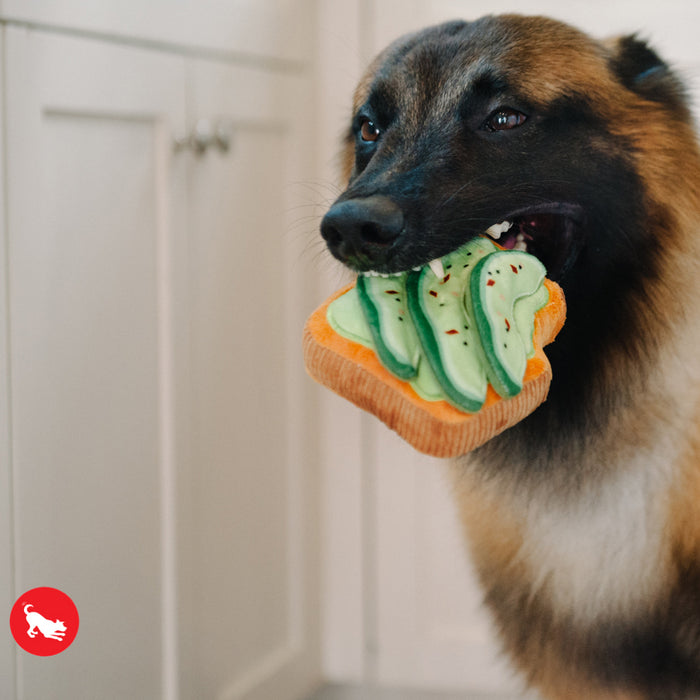 Avocado Toast Dog Toy - Mini