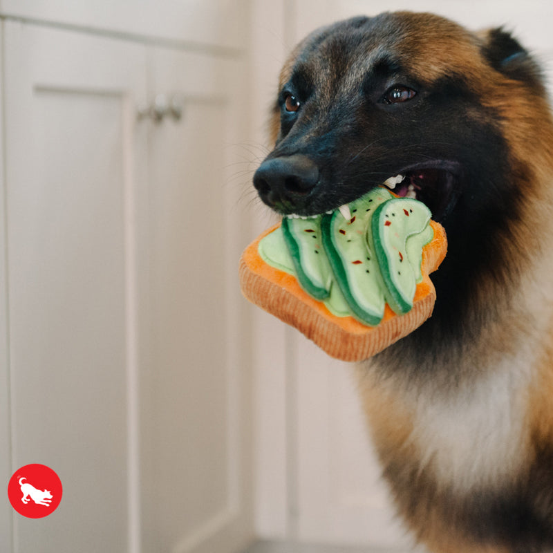 Avocado Toast Dog Toy - Mini
