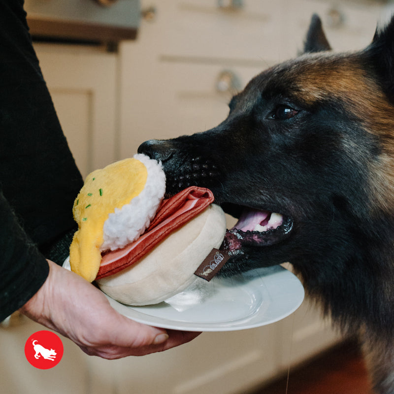 Benny's Benedict Dog Toy