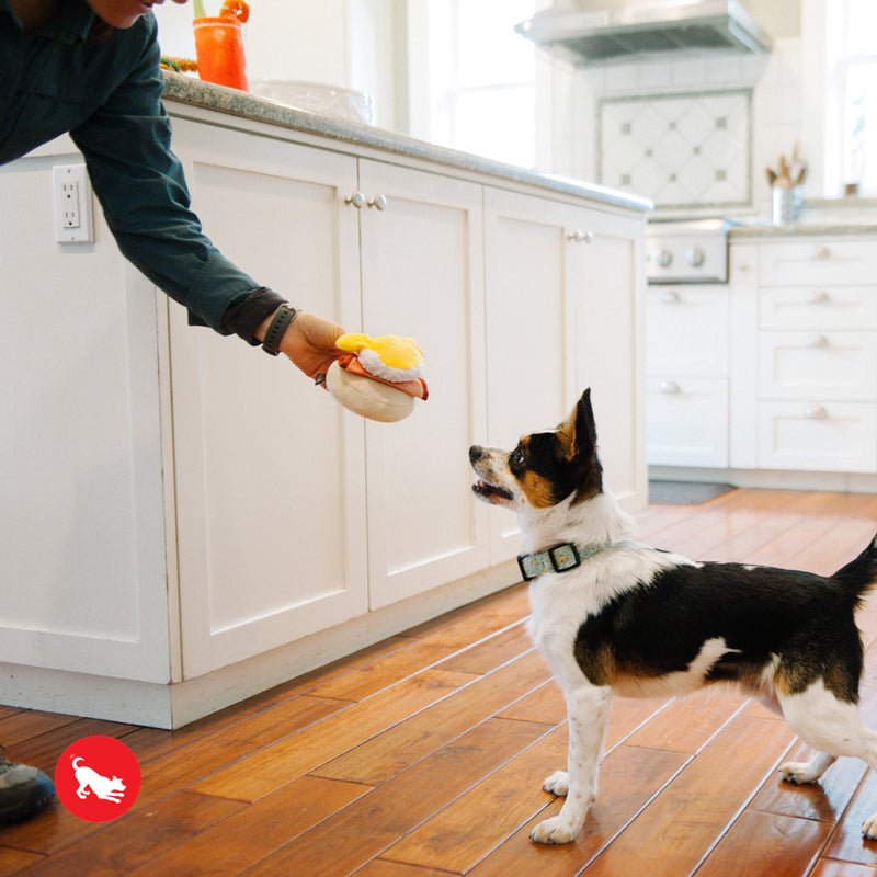 Benny's Benedict Dog Toy