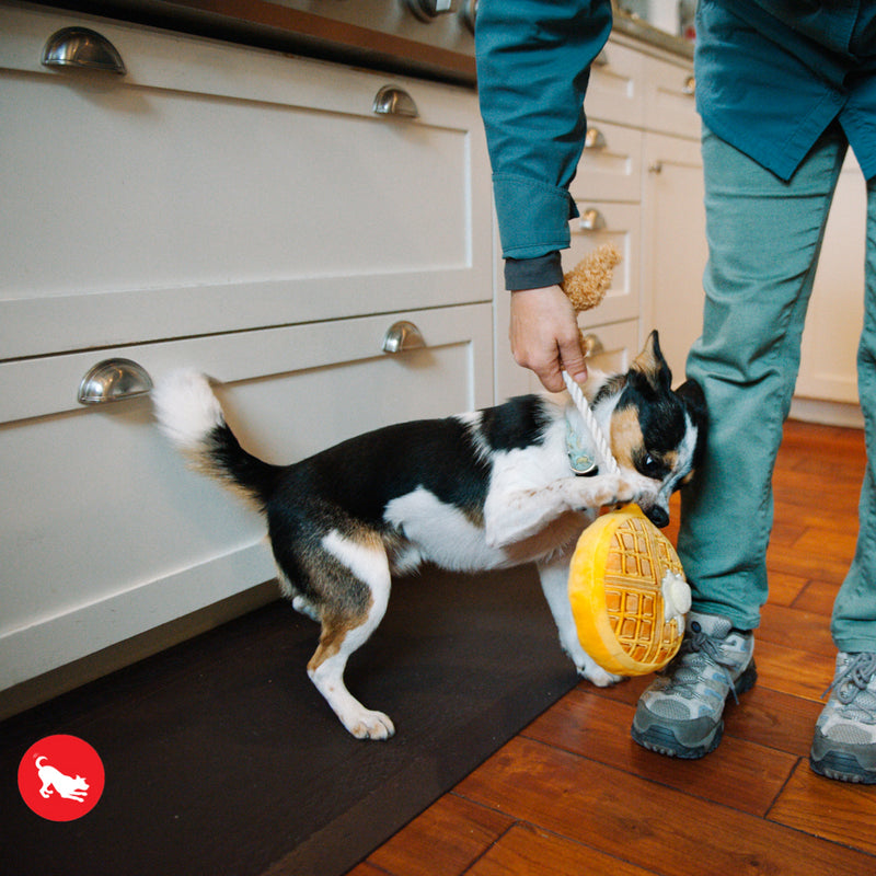 Chicken and Waffles Dog Toy