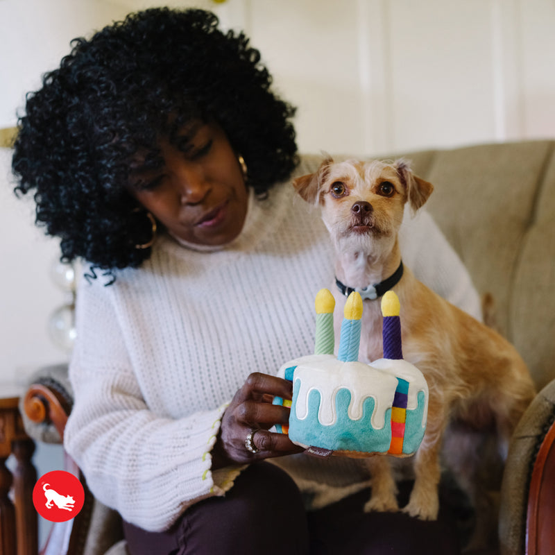 Bone-Appetite Cake Dog Toy