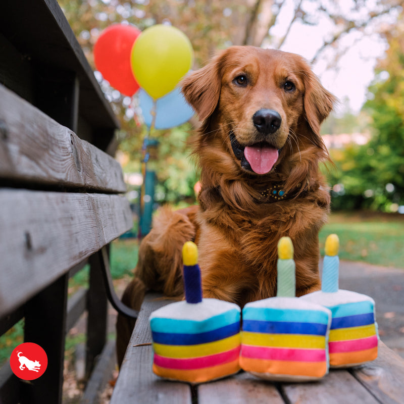 Bone-Appetite Cake Dog Toy
