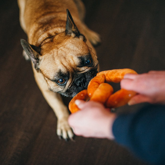 Poochie Pretzel Dog Toy
