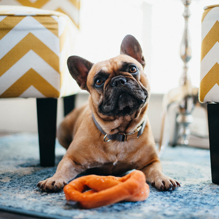 Poochie Pretzel Dog Toy