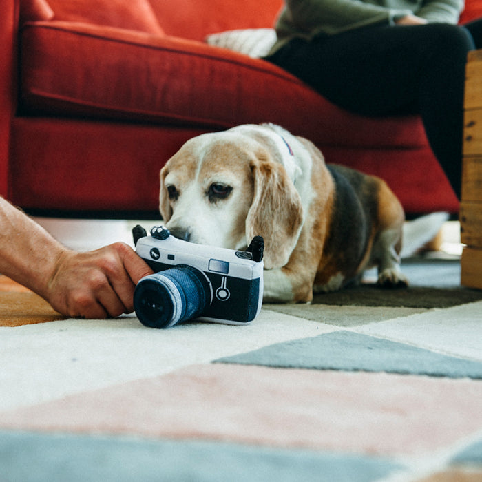 Lens Licker Camera Dog Toy