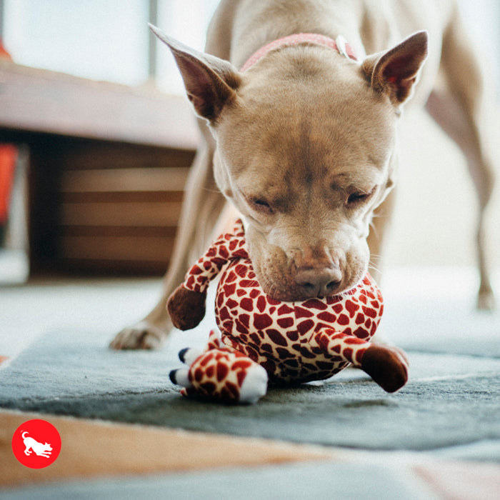 Giraffe Dog Toy