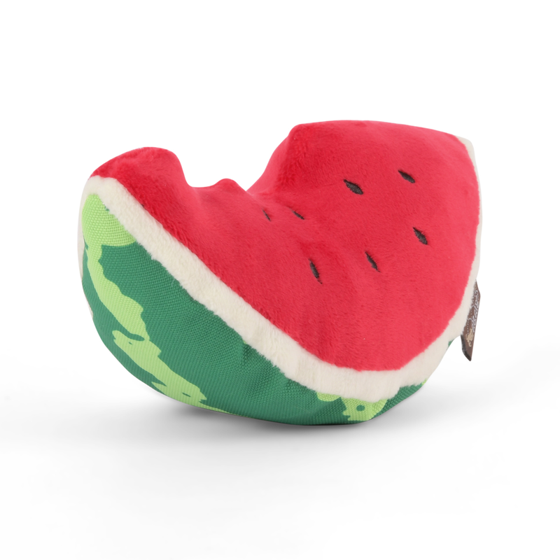 Wagging Watermelon Dog Toy
