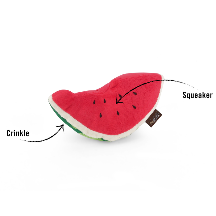 Wagging Watermelon Dog Toy
