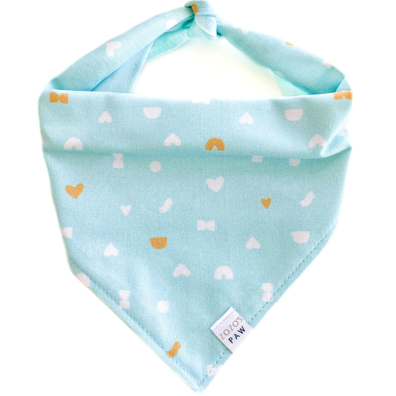 Stay In Shape Dog Bandana