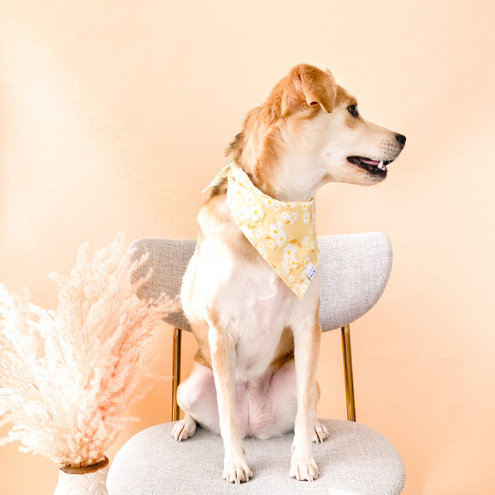 Sunny Day Floral Dog Bandana