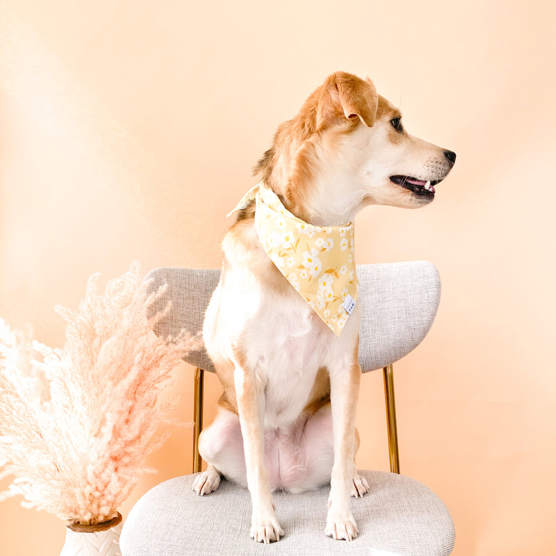 Sunny Day Floral Dog Bandana