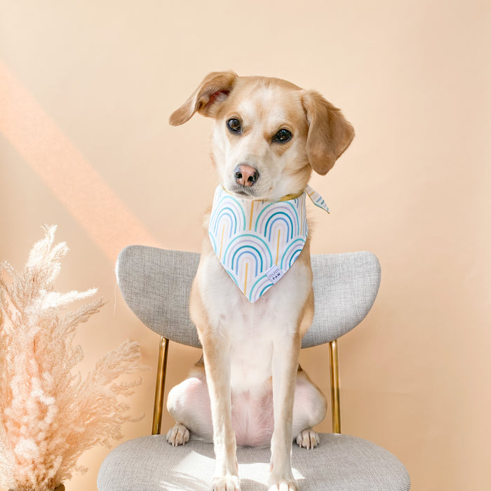 Over The Rainbow Dog Bandana