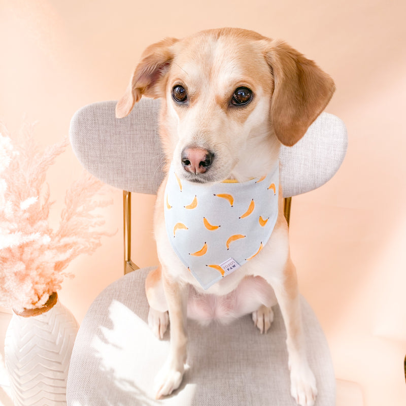 Banana Bunch Dog Bandana