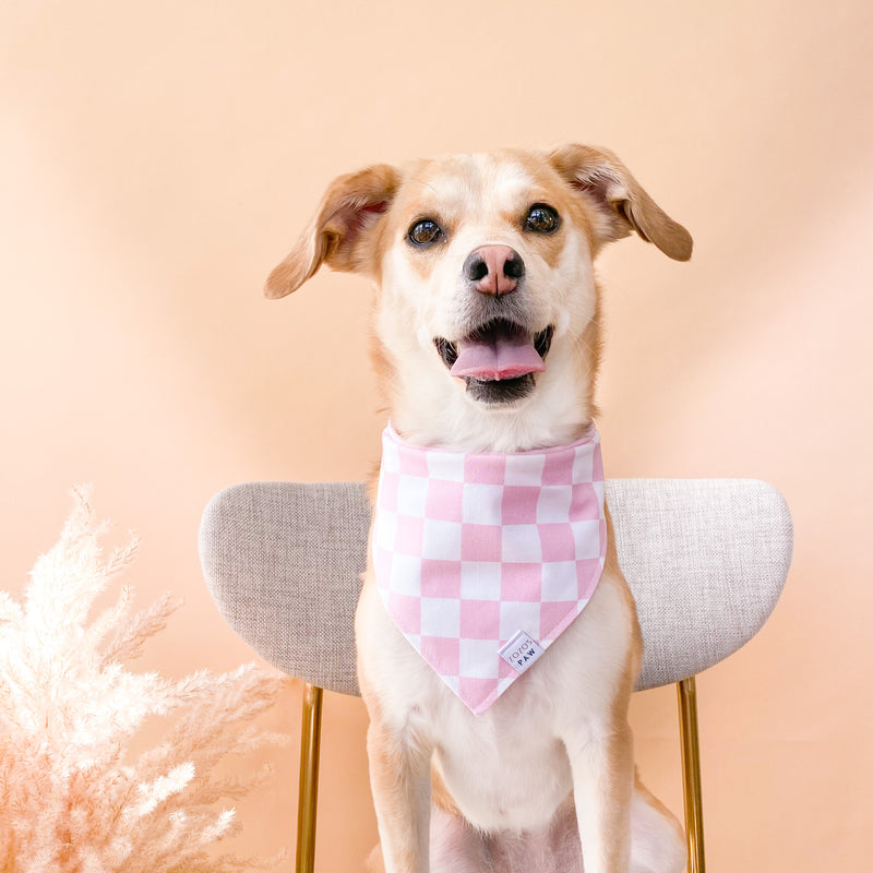 Blossom Checker Dog Bandana