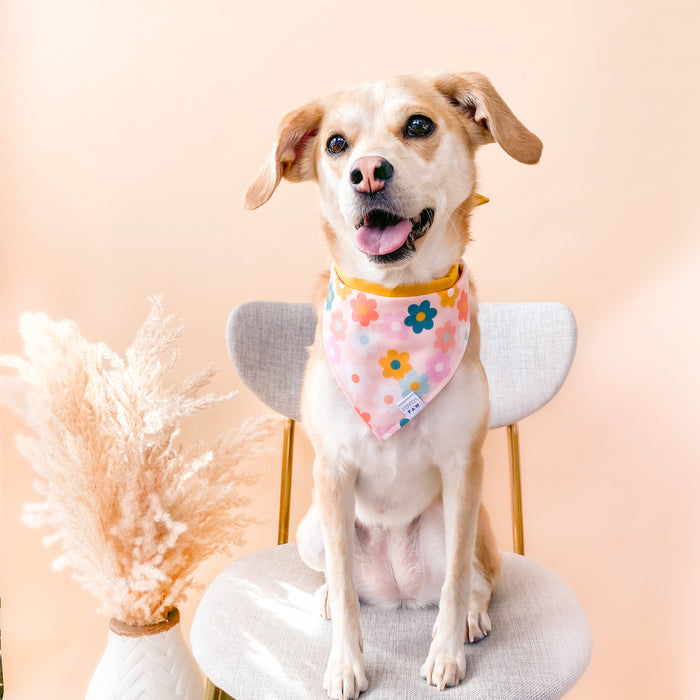 That 70s Floral Dog Bandana
