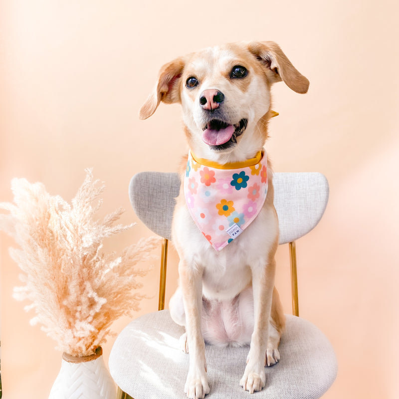 That 70s Floral Dog Bandana