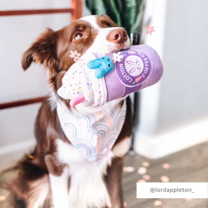 Over The Rainbow Dog Bandana