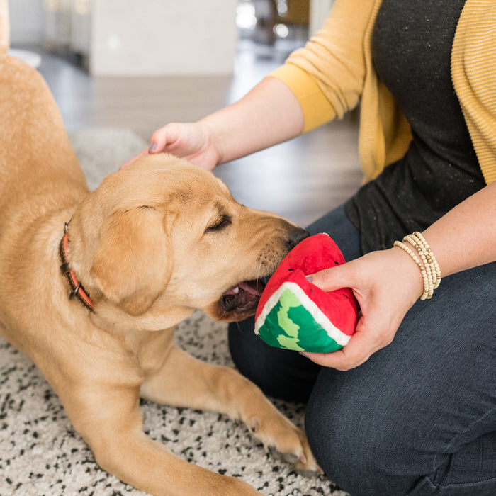 Wagging Watermelon Dog Toy