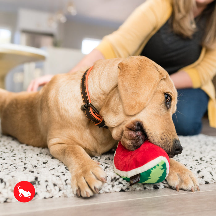 Wagging Watermelon Dog Toy