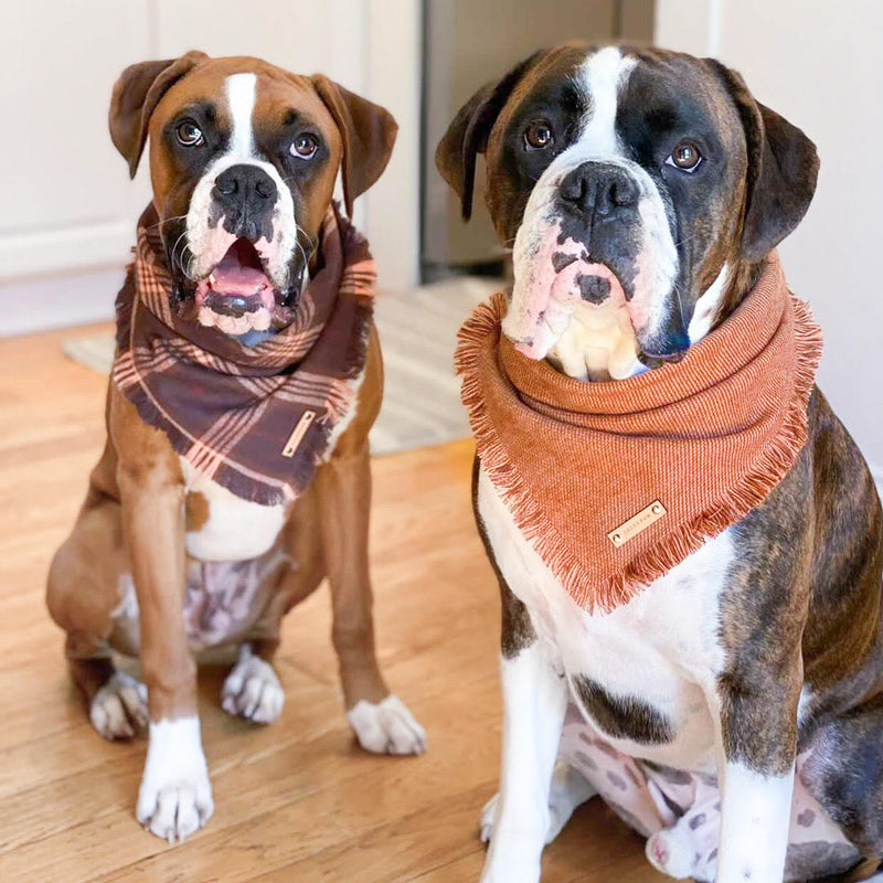 THE ALDO - Dog Flannel Fray Bandana