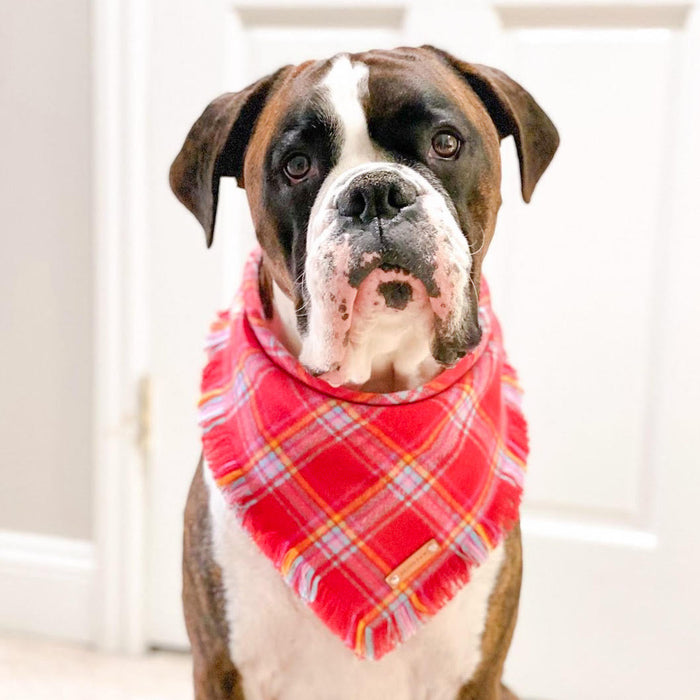 THE ARLO - Dog Flannel Fray Bandana