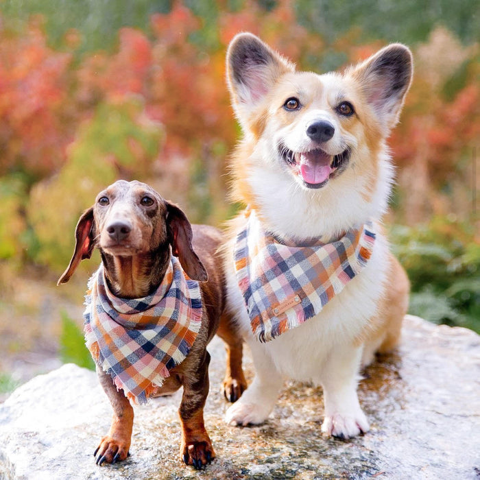 THE AUTUMN - Dog Flannel Fray Bandana