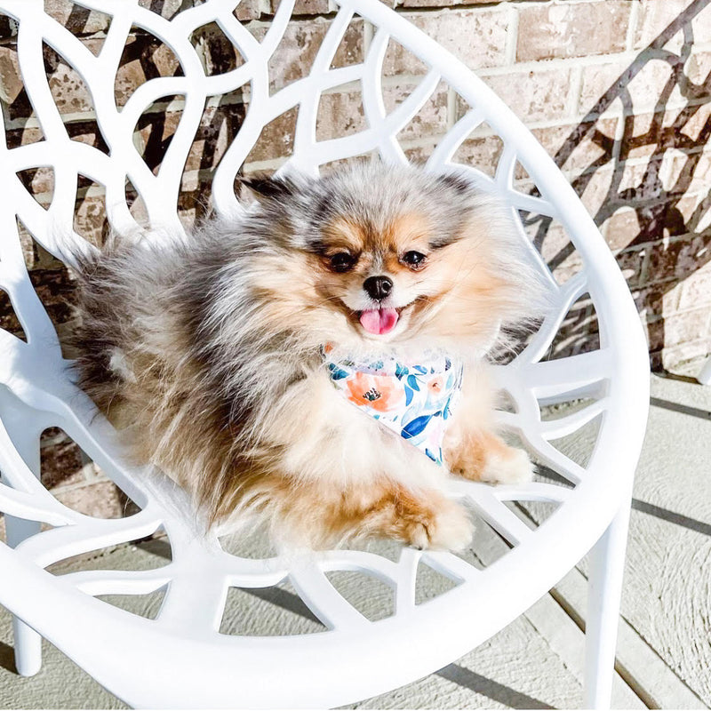 Watercolor Wildflowers Dog Bandana