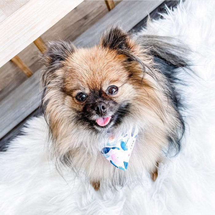 Watercolor Wildflowers Dog Bandana
