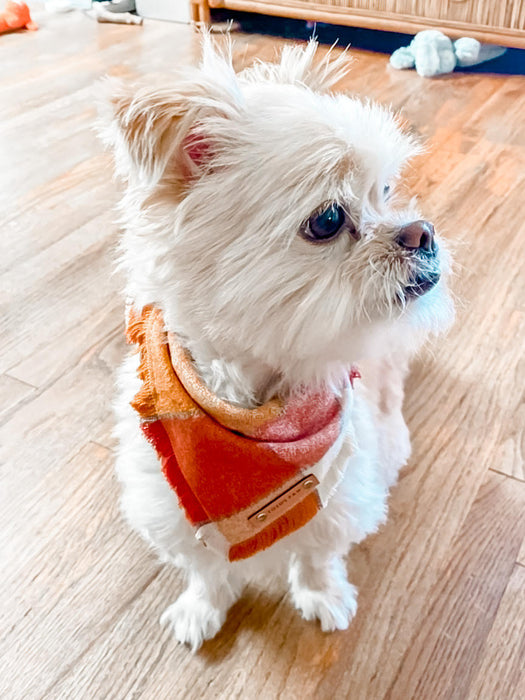 THE OCTOBER - Dog Flannel Fray Bandana