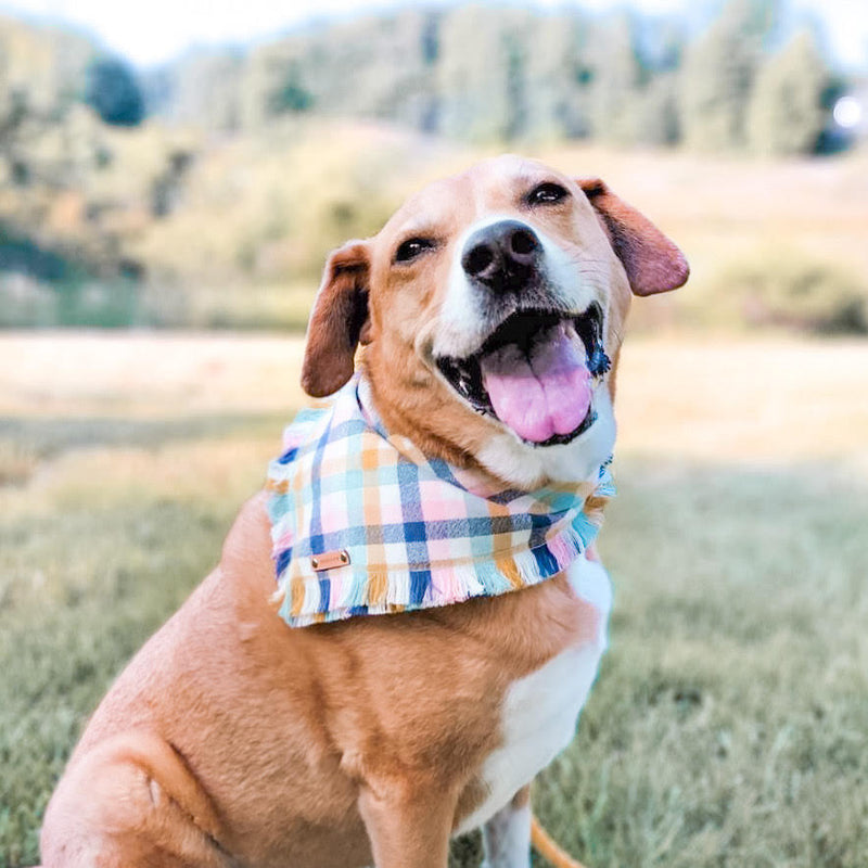 THE MARGOT - Dog Flannel Fray Bandana