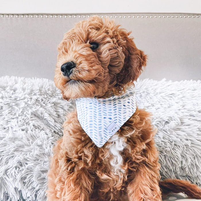 Spring Showers Dog Bandana