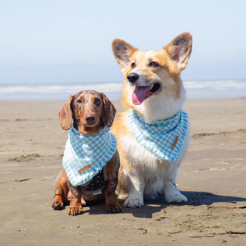 THE MALIBU - Dog Flannel Fray Bandana