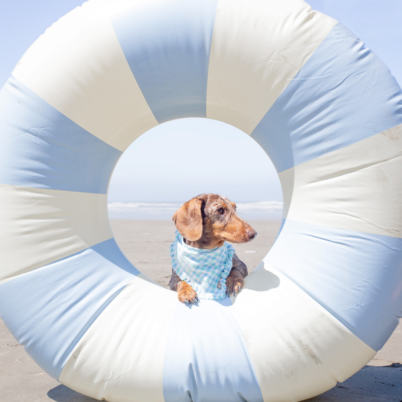 THE MALIBU - Dog Flannel Fray Bandana