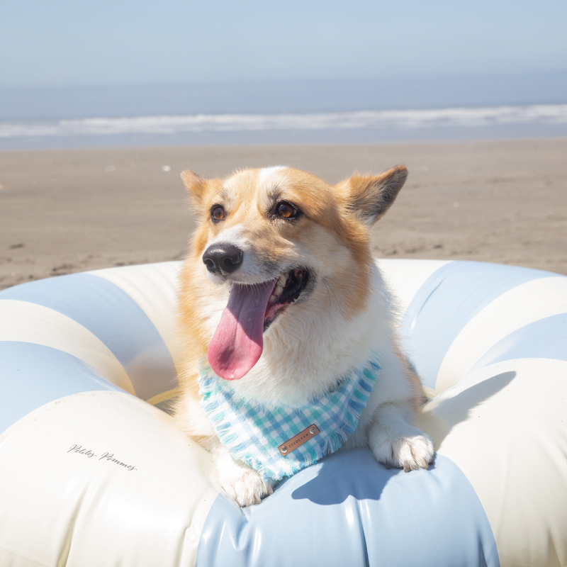THE MALIBU - Dog Flannel Fray Bandana