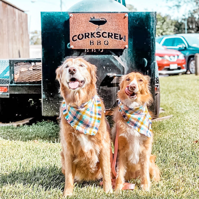 THE MARGOT - Dog Flannel Fray Bandana