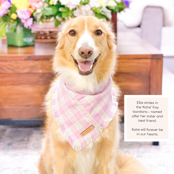 THE KATIE - Dog Flannel Fray Bandana
