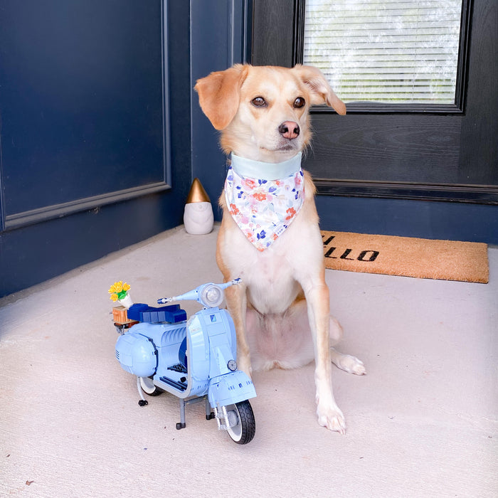 Flower Girl Dog Bandana