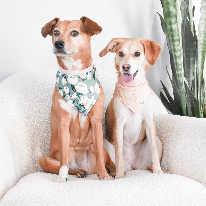 Pink Twilight Dog Bandana