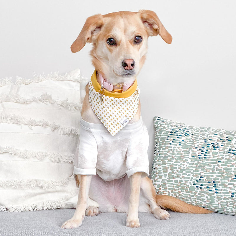 Golden Hour Dog Bandana