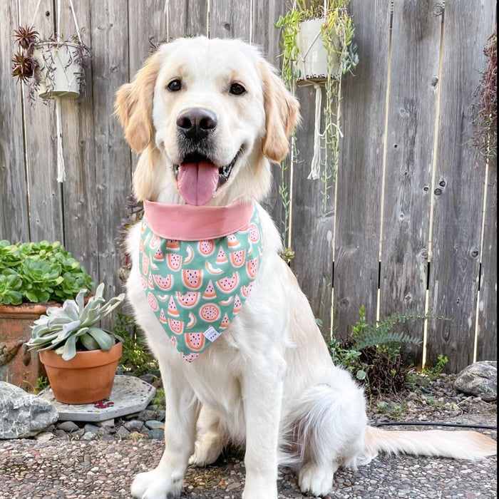 One in a Melon Dog Bandana