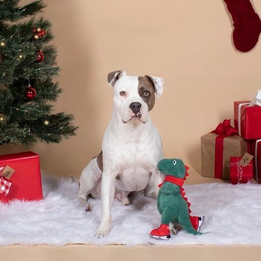 Ice Skating T-Rex Dog Toy