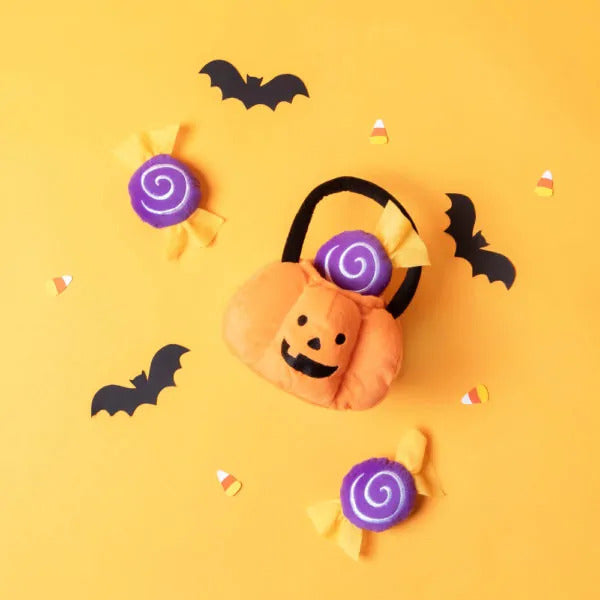 Trick-or-Treat Basket Dog Toy