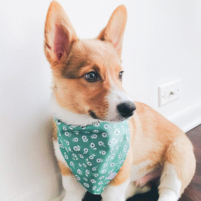 Green Gardens Dog Bandana