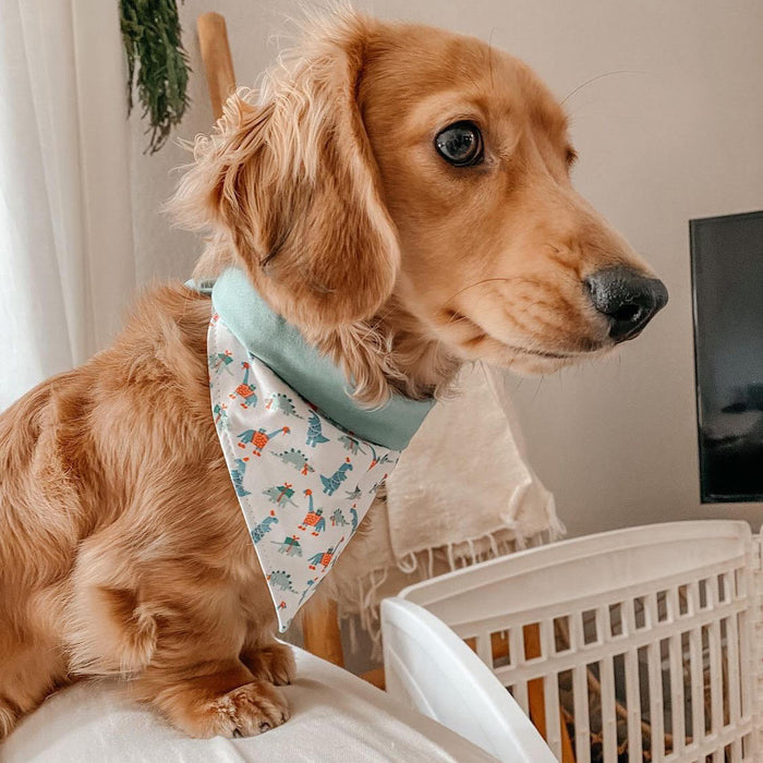 Dashing Dinos Dog Bandana