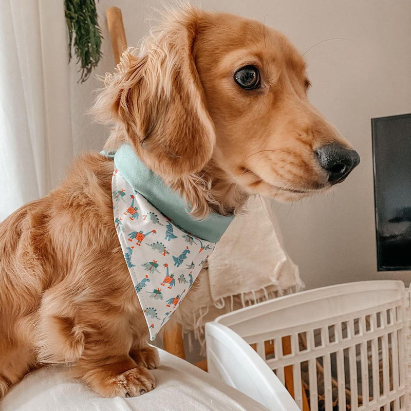 Dashing Dinos Dog Bandana