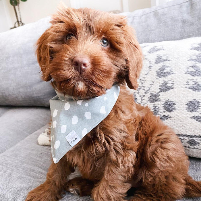 Sage Saga Dog Bandana